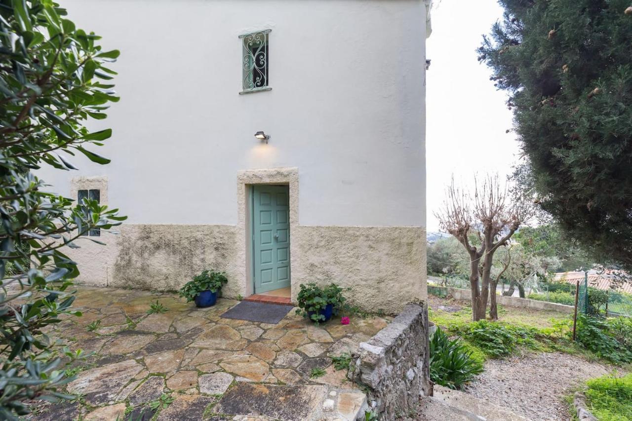 Nissa Vinaigrier Villa Nizza Kültér fotó