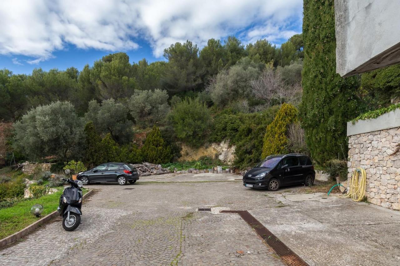 Nissa Vinaigrier Villa Nizza Kültér fotó