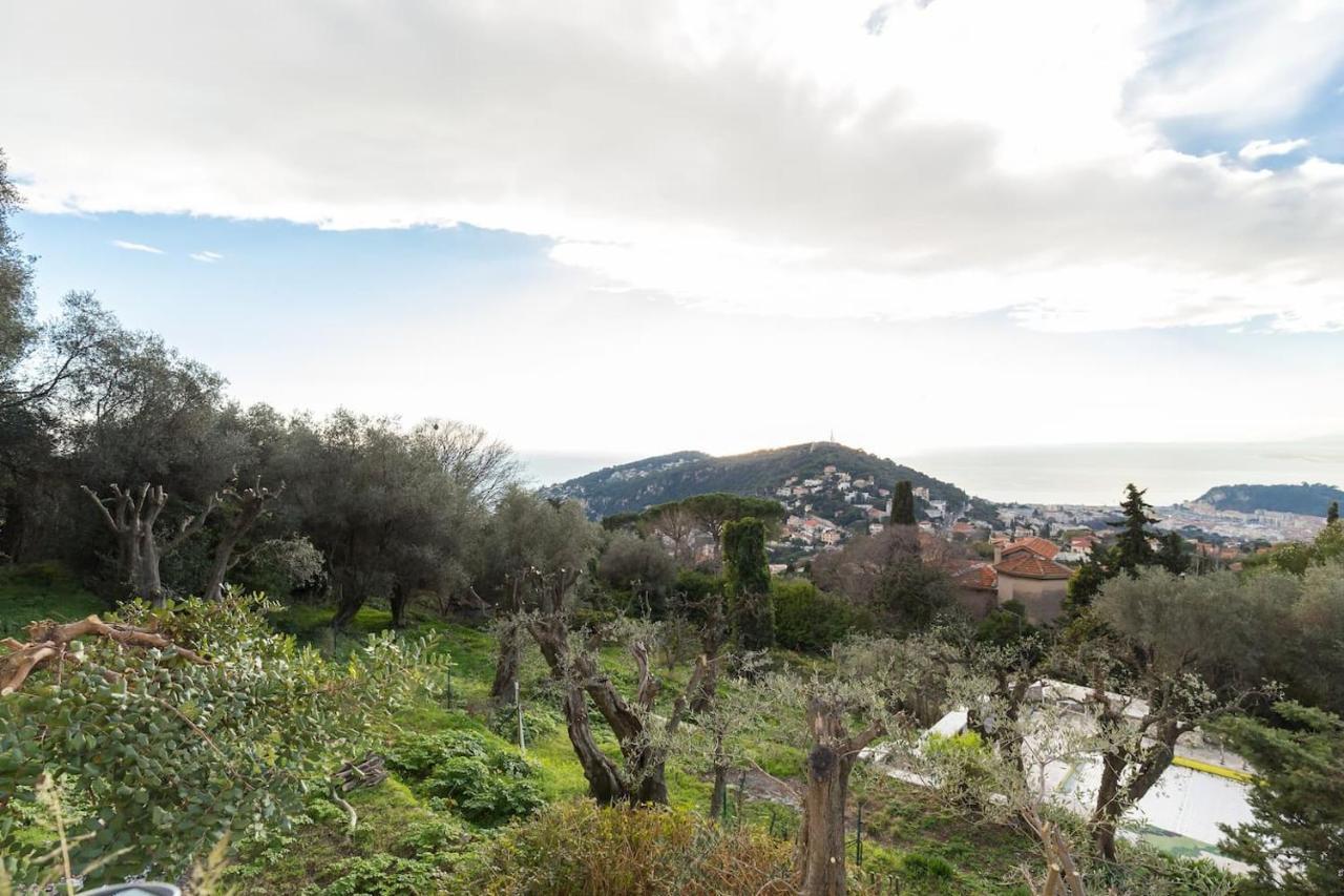 Nissa Vinaigrier Villa Nizza Kültér fotó